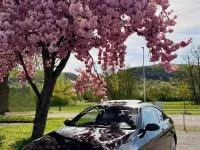 Gebraucht BMW 325 M Sport 197 PS (144 kW) 2008 Schwarz Coupé