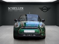 Usata Mini Cooper Cabriolet Classic 136 CV (100 kW) 2024 Verde Cabrio