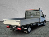 Neu Ford Transit Trend 131 PS (96 kW) 2025 Frozen white