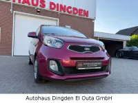 Gebraucht Kia Picanto Edition 7 69 PS (50 kW) 2013 Violet Kleinwagen