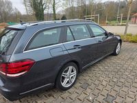 Gebraucht Mercedes E250 Avantgarde 204 PS (150 kW) 2014 Kombi