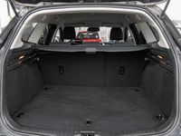 Gebraucht Ford Focus 120 PS (88 kW) 2016 Grau Kombi