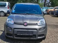 Gebraucht Fiat Panda 69 PS (50 kW) 2023 Grau Kleinwagen
