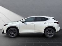 Neu Lexus NX350h Executive Line 243 PS (178 kW) 2025 Titaniumweiß SUV
