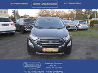 Gebraucht Ford Ecosport Titanium 125 PS (91 kW) 2019 Magneticgrau (metallic) SUV