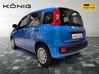 gebraucht Fiat Panda MY25 1.0 Klima PDC Citypaket