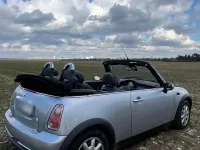 Used Mini Cooper Cabriolet 106 HP (77 kW) 2006 Silver Cabriolet