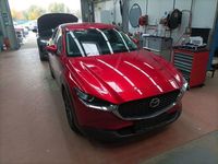 Gebraucht Mazda CX-30 Active 150 PS (110 kW) 2021 Rot SUV