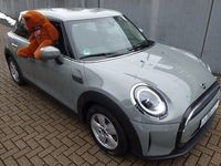 Gebraucht Mini Cooper Essential 136 PS (100 kW) 2022 Grau Kleinwagen