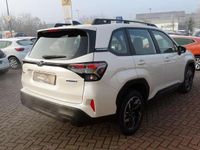 Neu Subaru Forester Trend 136 PS (100 kW) 2026 Weiß SUV