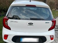 Gebraucht Kia Picanto 67 PS (49 kW) 2017 Weiß Kleinwagen