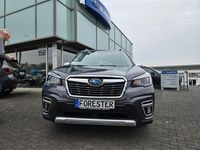 Gebraucht Subaru Forester Comfort 150 PS (110 kW) 2020 Grau SUV