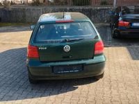 Gebraucht VW Polo 50 PS (36 kW) 2000 Grün Kleinwagen
