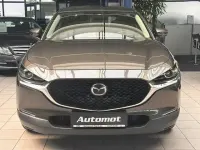 Gebraucht Mazda CX-30 116 PS (85 kW) 2020 Grau SUV