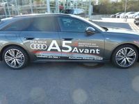 Gebraucht Audi A5 S-Line 204 PS (150 kW) 2025 Daytonagrau perleffekt Coupé