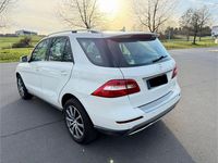 Gebraucht Mercedes ML250 204 PS (150 kW) 2013 Weiß SUV