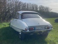 Gebraucht Citroën DS 90 PS (66 kW) 1971 Weiß Limousine