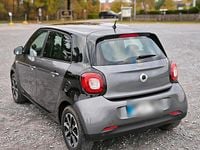 Gebraucht Smart ForFour Basis 71 PS (52 kW) 2017 Grau Kleinwagen