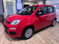 Gebraucht Fiat Panda Easy 69 PS (50 kW) 2018 Rot Kleinwagen