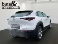 Gebraucht Mazda CX-30 Selection 179 PS (131 kW) 2020 Snowflake white pearl (metallic) SUV