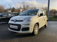 Neu Fiat Panda 69 PS (50 kW) 2025 Gelato weiß dach schwarz (weis Kleinwagen