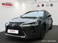 Gebraucht Lexus UX 184 PS (135 kW) 2021 Grün SUV