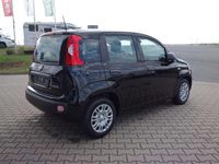 Gebraucht Fiat Panda 69 PS (50 kW) 2025 Cinema schwarz Kleinwagen