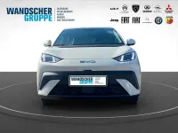 Nouvelle BYD Dolphin Surf Boost 64 kW (88 ch) 2025 Vert Citadine
