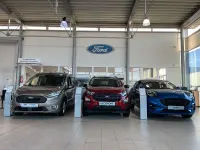 Gebraucht Ford Fiesta Active 101 PS (74 kW) 2019 Grau Kleinwagen