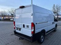 Neu Fiat Ducato 140 PS (102 kW) 2025 Weiss ducato weiss Van
