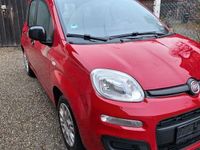 gebraucht Fiat Panda 1,2 "Neueres Model,TÜV Neu,1.Hand"