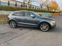 gebraucht Audi SQ5 Competition Individual AHK,PANO,B&O