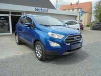Gebraucht Ford Ecosport Titanium 125 PS (91 kW) 2019 Blau metallic SUV