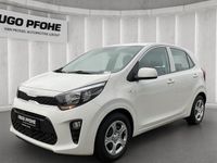 Gebraucht Kia Picanto Attract 67 PS (49 kW) 2022 Weiss Kleinwagen