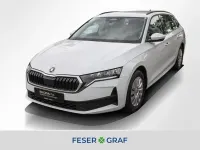 Gebraucht Skoda Octavia Essence 116 PS (85 kW) 2025 Moon weiss perleffekt Kombi