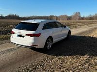Gebraucht Audi A4 S-Line 150 PS (110 kW) 2016 Weiß Kombi