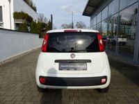 gebraucht Fiat Panda 1.2 Klima Bluetooth Alu NS MFL PDC ZR Neu