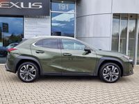 gebraucht Lexus UX 250h Style Edition LED, Apple CP, Android Auto