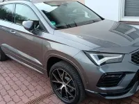 Usata Cupra Ateca Basis 190 CV (139 kW) 2024 Grigio SUV