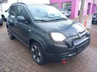 Gebraucht Fiat Panda Cross Cross 69 PS (50 kW) 2024 Grün Kleinwagen