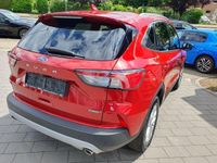 Gebraucht Ford Kuga Titanium 190 PS (139 kW) 2023 Rot SUV