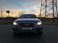 gebraucht Audi SQ5 SQ53.0 TDI quattro tiptronic