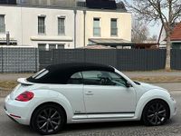 Gebraucht VW Beetle Cabriolet Cup 105 PS (77 kW) 2014 Weiß Cabrio