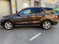Gebraucht Mercedes ML250 204 PS (150 kW) 2013 Braun SUV