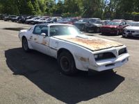 gebraucht Pontiac Trans Am 1977/78, T-TOPS, v8 6.6, Smokey and the Bandit