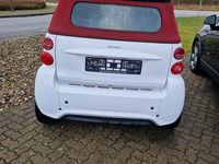 Gebraucht Smart ForTwo Cabrio Passion 71 PS (52 kW) 2014 Weiß Cabrio