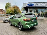 Gebraucht Ford Kuga ST-Line 190 PS (139 kW) 2024 Gruen SUV