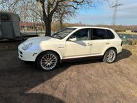 Gebraucht Porsche Cayenne 250 PS (183 kW) 2004 Weiß SUV
