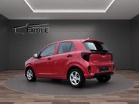 Neu Kia Picanto 68 PS (50 kW) 2025 Beg) signalrot met. (rot Kleinwagen