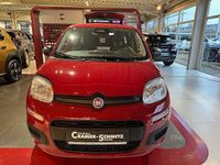 Neu Fiat Panda 69 PS (50 kW) 2025 Rot Kleinwagen